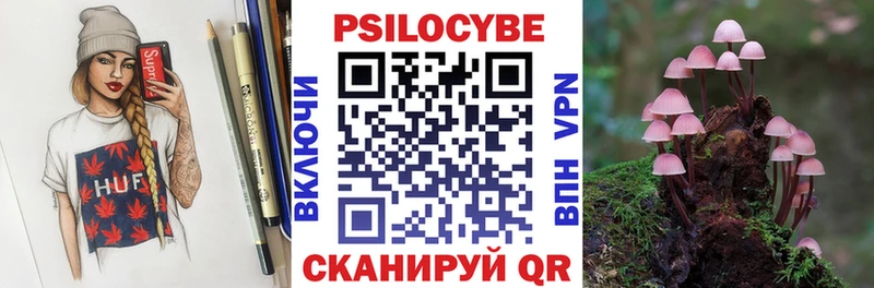 Псилоцибиновые грибы Psilocybe  купить  цена  Щигры 
